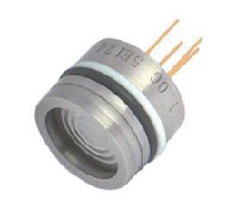 BP10 通用型扩散硅压力芯体