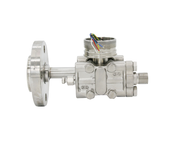 AP500 侧装平膜法兰 / 插筒法兰差压传感器